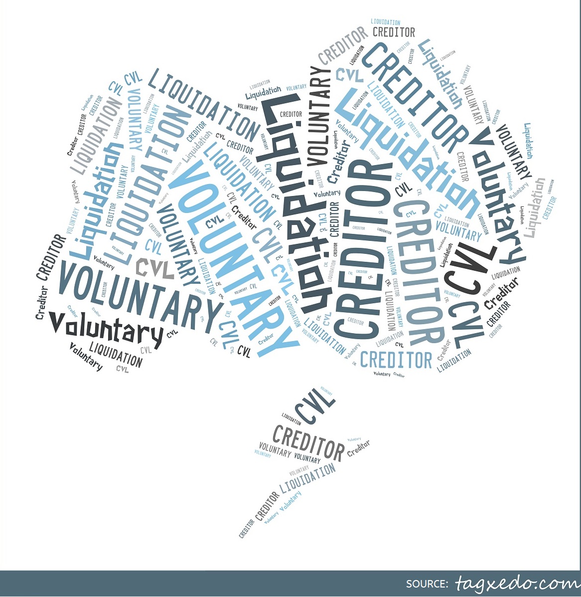 Voluntary-Liquidation-Process